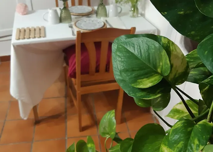 Accommodatie bij particulieren Musas Gastro